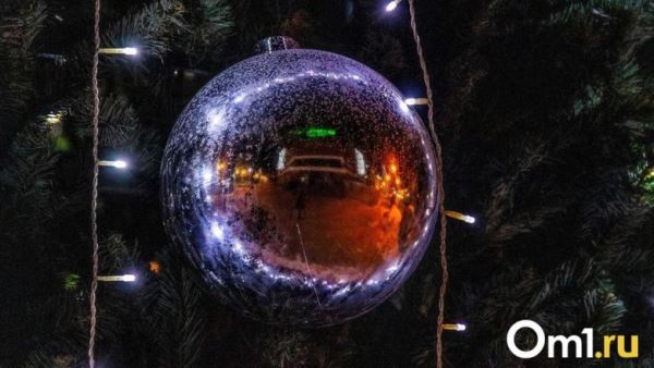 В Новосибирске готовят спектакль &laquo;Конёк-Горбунок&raquo; для губернаторской ёлки