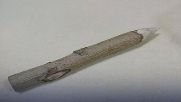 Приставы помешали омичке пронести на судебное заседание осиновый кол