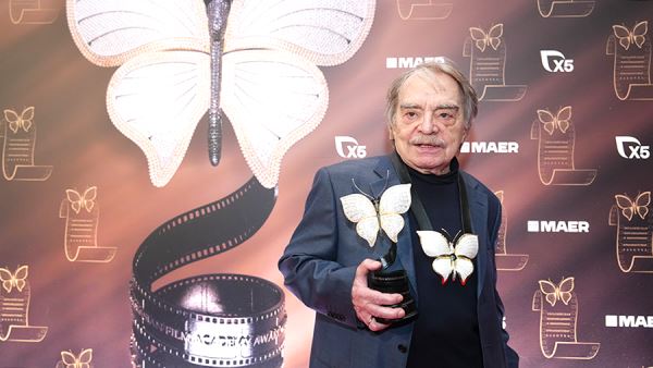 Эффекты &laquo;Бабочки&raquo;: китайский фильм получил бриллиант в миллион долларов