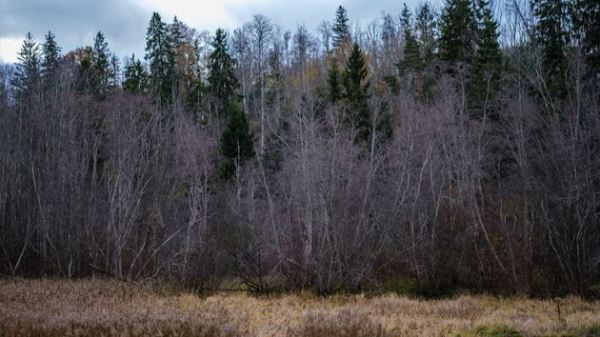 Прогноз погоды на выходные в стране